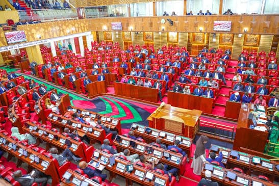 Beyond the Bill: How Legislative Drafting Quietly Shapes National Identity